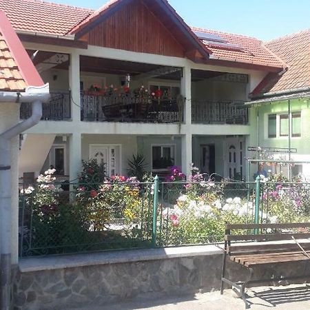 Pensjonat Casa Maria Retezat Nucsoara  Zewnętrze zdjęcie