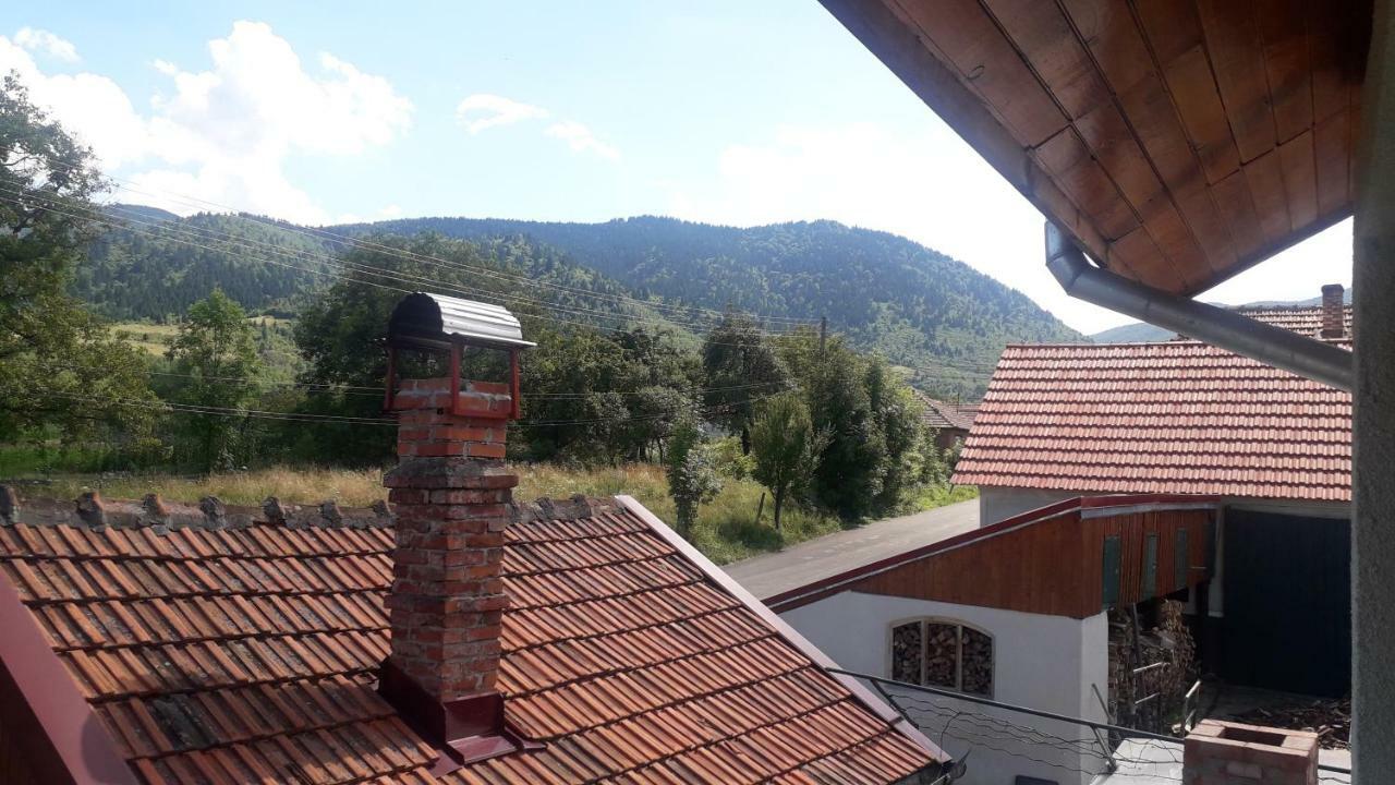 Pensjonat Casa Maria Retezat Nucsoara  Zewnętrze zdjęcie